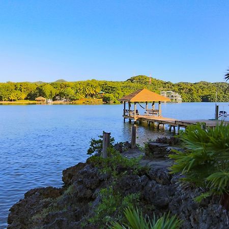 Hotel Posada Las Orquideas,Уест Енд Екстериор снимка