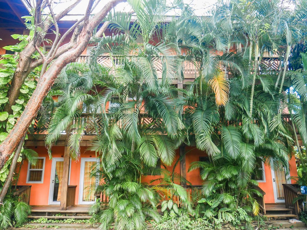 Hotel Posada Las Orquideas,Уест Енд Екстериор снимка