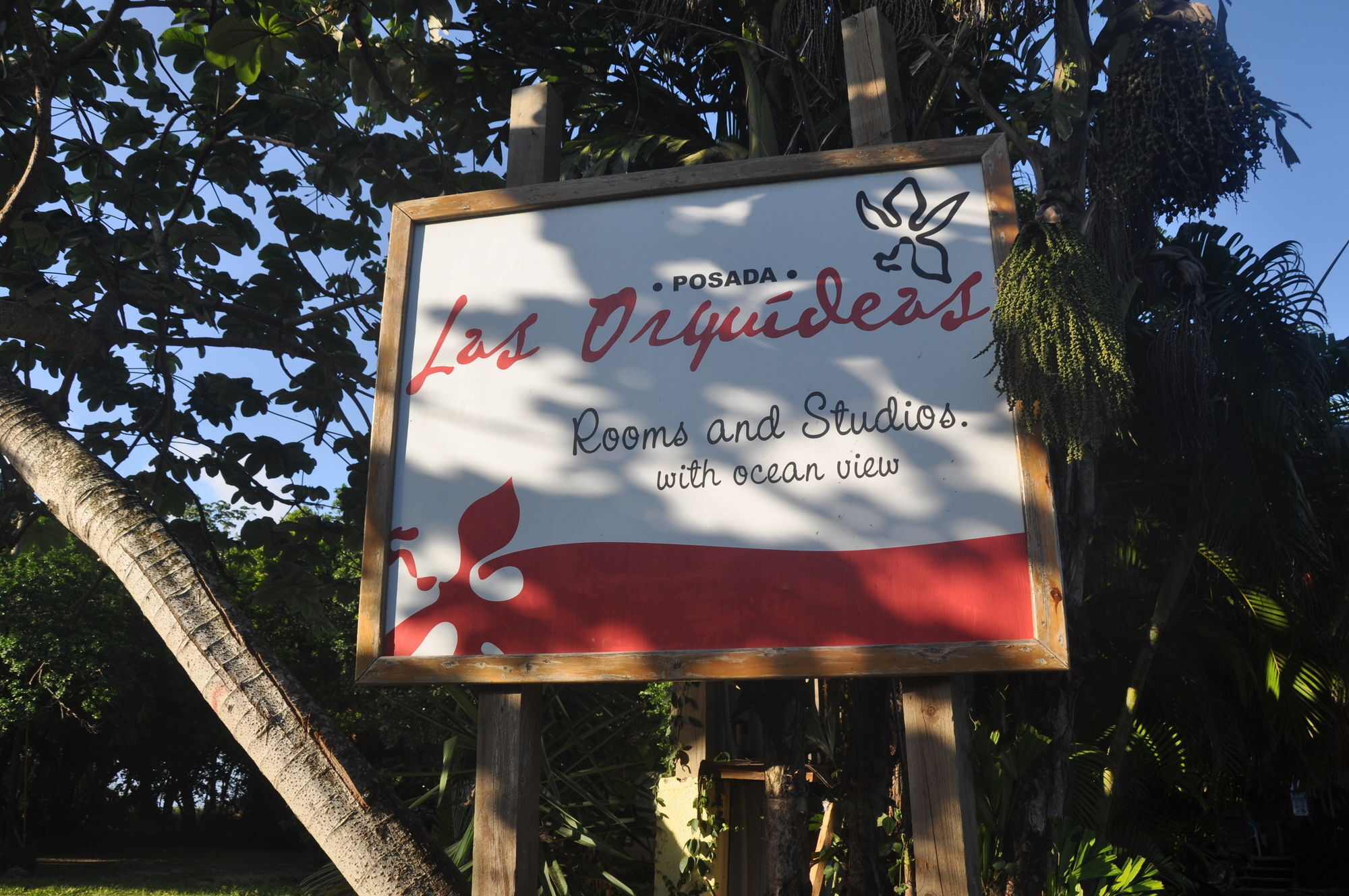 Hotel Posada Las Orquideas,Уест Енд Екстериор снимка