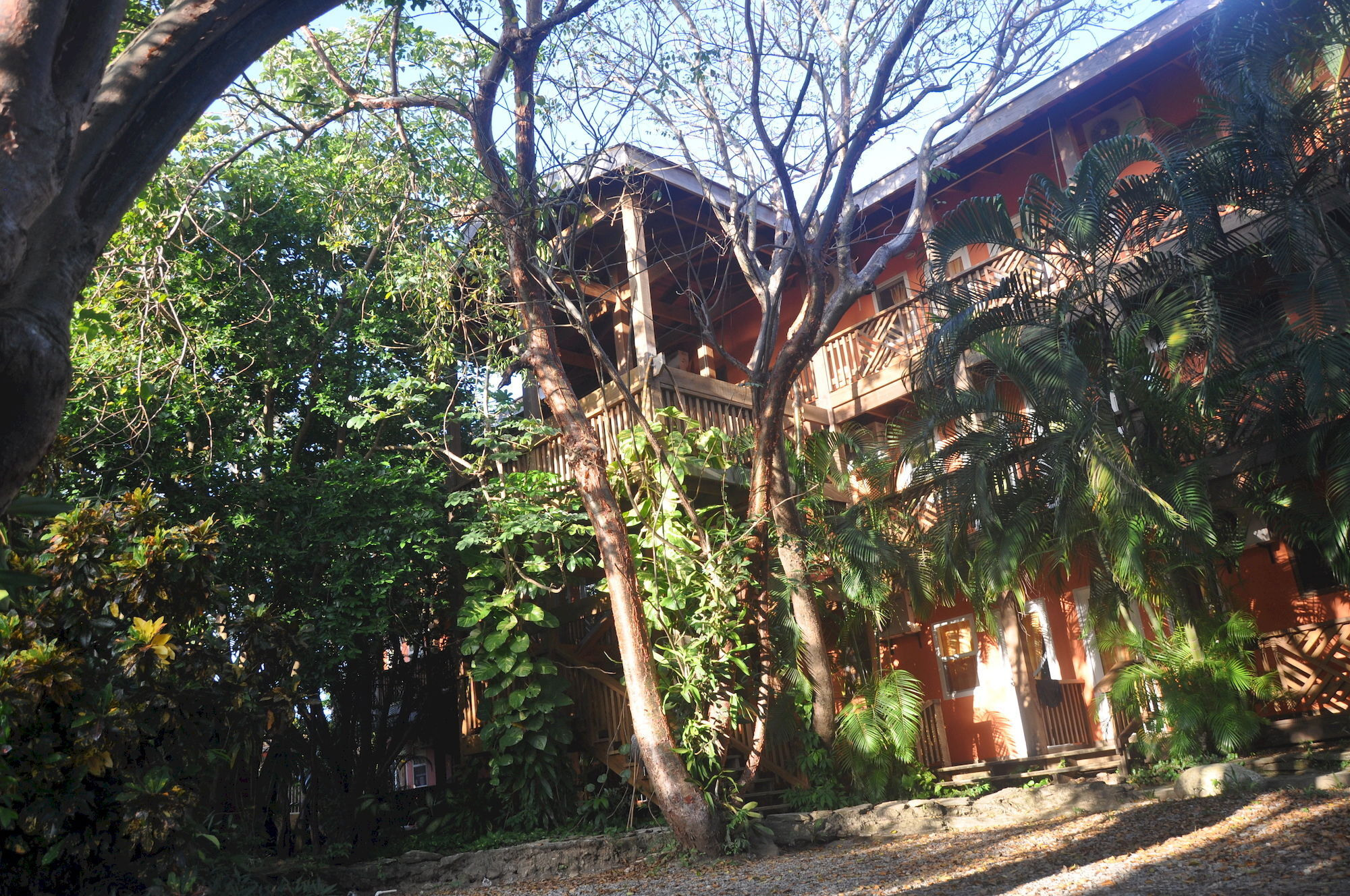 Hotel Posada Las Orquideas,Уест Енд Екстериор снимка