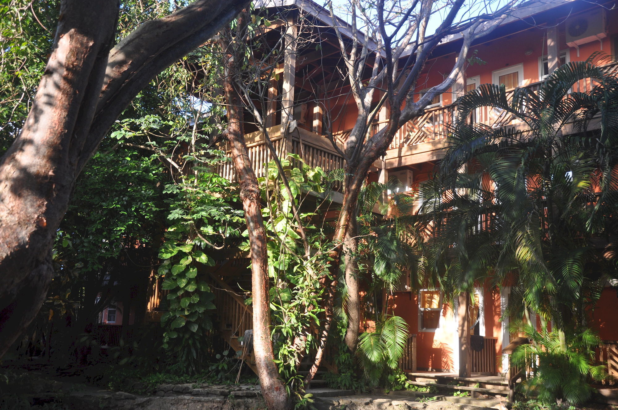 Hotel Posada Las Orquideas,Уест Енд Екстериор снимка